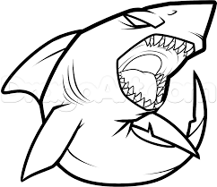 How To Draw A Cool Shark Step By Step Sea Animals Animals Free Online Drawing Tutorial Added By Dawn June 19 Shark Drawing Easy Drawings Animal Drawings