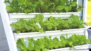 Diy self watering gutter garden system. Grow Greens In This Diy Vertical Garden Garden Gate