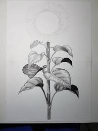 This item will help you easy to install your painting. Sunflower Botanical Illustration Vintage Style On Behance