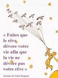 Der Kleine Prinz Glaubt An Seine Traume In 2020 French Quotes Little Prince Quotes Prince Quotes