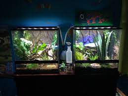 Check spelling or type a new query. 24x18x24 Exo Terra Setups Album On Imgur