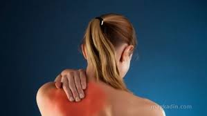 Omuzda Kas Yirtilmasi Ve Tendon Iltihabi Belirtileri Neler Saglik