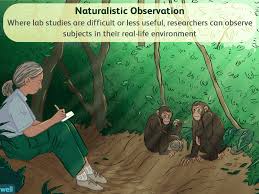 As such, intervention research might be. Naturalistic Observation In Psychology