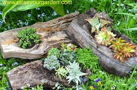 Maintain your yard, choose plants, and complete various outdoor projects with our tips and ideas. Diy Reclaimed Wood Succulent Cacti Planters Made From Driftwood Logs Raise Your Garden