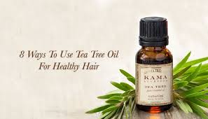 To use tea tree oil for your dry scalp, take a few drops of tea tree oil and mix it well with jojoba oil. 8 Simple Ways To Use Tea Tree Oil For Hair Kama Ayurveda