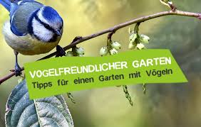 Tipps für einen vogelfreundlichen garten. Vogelfreundlicher Garten 15 Tipps Fur Mehr Vogel Careelite