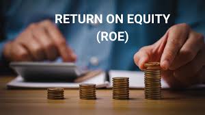Chỉ số ROE - vốn chủ sở hữu có được sử dụng hiệu quả?