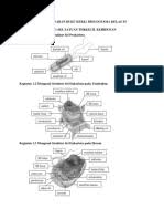 Kunci silabus & rpp pr matematika 11 wajib edisi 2019. Kunci Silabus Rpp Pr Matematika 11a Minat Edisi 2019 Pdf
