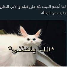 pin by dareen on funny funny reaction pictures memes funny faces funny science jokes