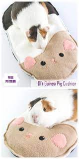 Pets