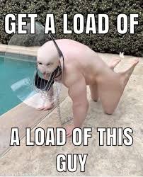We did not find results for: Get A Load Of A Load Of This Guy