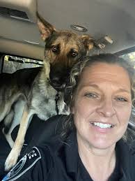 Horse rescue in Keystone Heights area