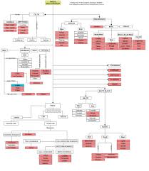 History Of The English Language The Language Of Science