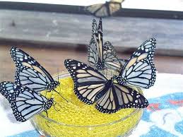 January 2006 Monarch Butterfly Butterfly Monarch