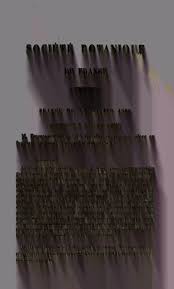 Image result for Isonema infundibuliflorum