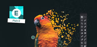 A free photo, collage and sticker editor. Pixlr E Advanced Photo Editor Apk Apkpure Free Download Apk
