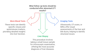 Image result for Liver Function Test Abnormality