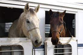 We did not find results for: Horse Trailer Insurance Do You Really Need It Southeast Financial