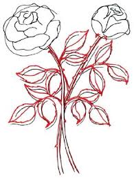 Let's draw some more s shapes growing out of our stem for our leaves. How To Draw A Rose Howstuffworks