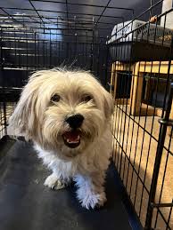 Best Friends Of Rockaway Beach