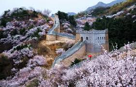 Image result for the great wall of china
