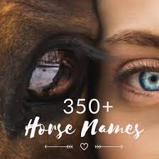 350 Perfect Pony And Horse Names For Riders Horse Names Best Horse Names Horse Names Unique
