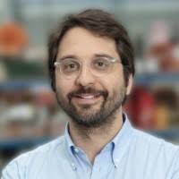 2400+ "Triolo" profiles