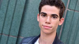The Cameron Boyce Foundation: The Late Actor's Legacy Continues