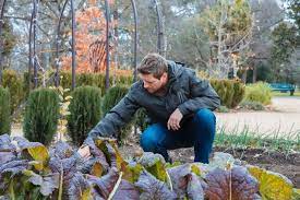 3926 jobs found for horticulture. 7 Growing Career Options In Horticulture