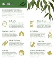 It has unique antifungal and antiseptic. Eucalyptus Essential Oil Aetherial Oils