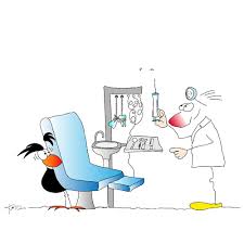 Beim Zahnarzt By Kado Education Tech Cartoon Toonpool