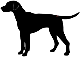 Can you download dog silhouette clipart pictures online? Clip Art Pictures Of Dogs Dog Silhouette Silhouette Clip Art Disney Silhouettes