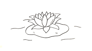 Karena pada gambar bunga ada banyak sudut sempit yang tida bisa sembarangan dalam mewarnainya. Menggambar Mewarnai Bunga Teratai Lotus Mudah Untuk Anak Youtube