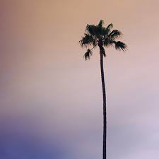 Life is better in focus.™️ visual stories from the nation's largest vision care provider. Professional Visioncare Of West Hollywood Optometry Dr Jimmy Cheng Optometrist Dr Jimmy Cheng Optometrist Serving West Hollywood And Los Angeles