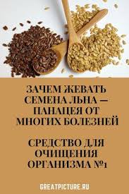 семена льна для похудения и очищения организма от шлаков Zachem Zhevat Semena Lna Panaceya Ot Mnogih Boleznej Poleznoe Pitanie Ochishayushaya Dieta Produkty Dlya Zdorovya