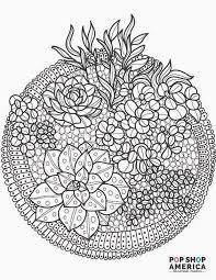 Get creative with our ocean coloring pages. Free Adult Coloring Book Pages With Succulent Terrariums