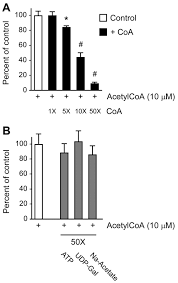 Acetyl on the other is a unique form of acyl. At 1 Is The Er Membrane Acetyl Coa Transporter And Is Essential For Cell Viability Journal Of Cell Science