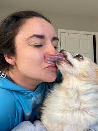 Morning love from Spock 🐶❤️