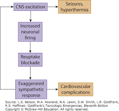 Cocaine Goldfranks Toxicologic Emergencies 11e