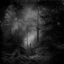Single Person Standing In A Dark Forest Scene Manipulated Texturized Photograph Nature Photography Dark Forest Nature Art