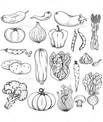 Pin On Food Vector