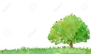 Voir plus d'idées sur le thème dessin nature, dessin, animaux. Aquarelle Paysage Arbre Herbe Feuillage Resume Nature Fond Foret Modele Dessin Dessin Dessin Banque D Images Et Photos Libres De Droits Image 65756058