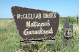 Cibola national forest & national grasslands. Mcclellan Creek National Grassland