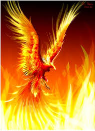 Be The Phoenix Rise From The Ashes Books Blogs And Butterflies