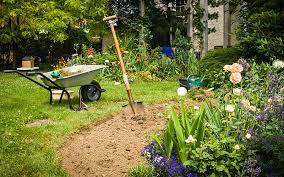 Another way to make your garden colorful is by adding various types of petunias in a multitude of forms. How To Start A Flower Garden The Home Depot