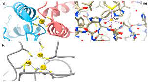 Biomolecules | Free Full-Text | Biological Effects of Human Exposure to  Environmental Cadmium