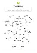 Bevor die kinder anfangen, sollten sie jedes arbeitsblatt gemeinsam einmal durchgehen, bzw. Tierratsel Fur Kinder