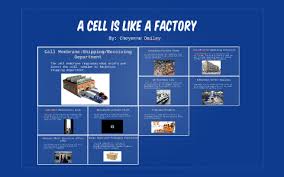 The cytoplasm contains the organelles, just like how the factory structurally, plant and animal cells are very similar because they are both eukaryotic cells. A Cell Is Like A Factory By Cheyenne Dailey On Prezi Next