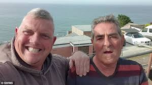 Shocking moment builders run for cover after their site was covered by  thousands of BEES