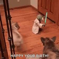 Share the best gifs now >>> Yoda Birthday Gif Yoda Birthday Happybirthday Discover Share Gifs Funny Meme Pictures Funny Pictures Star Wars Music